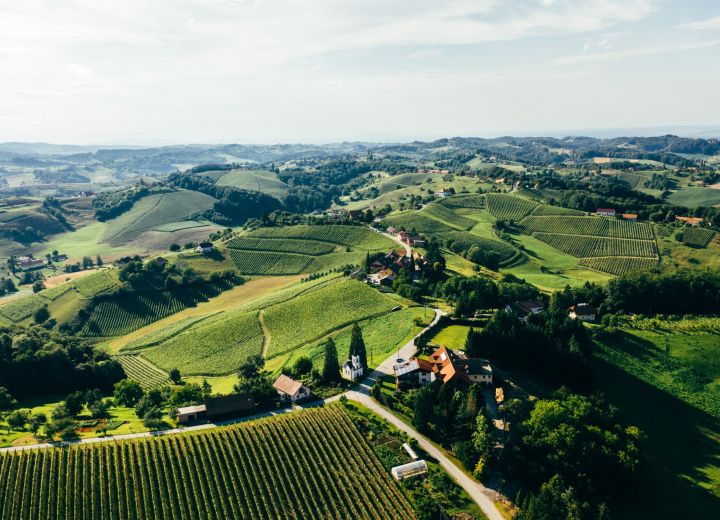 Vina in turizem Bračko