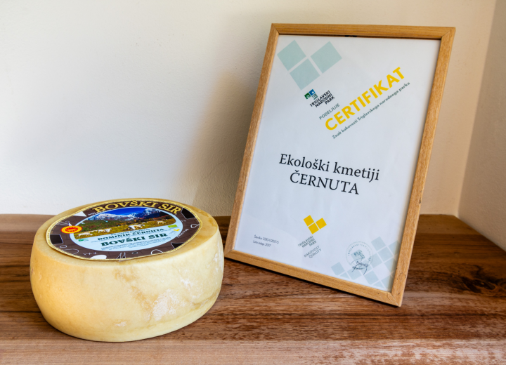 ČERNUTA