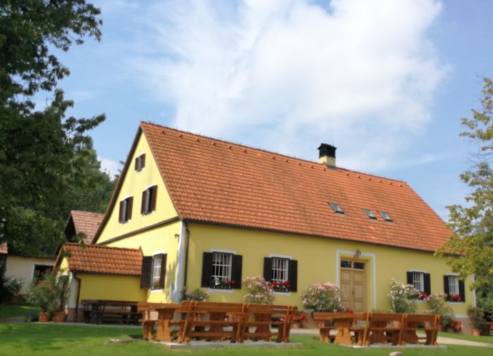 KOREN Pri Korošcu