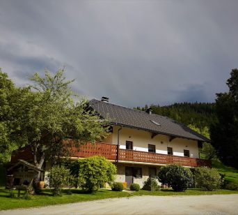 Domačija Metul, Krnica 34, Luče