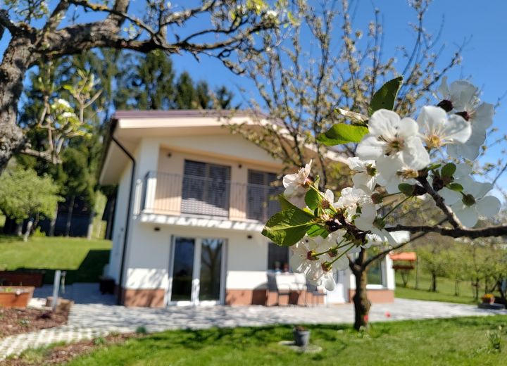 Vinagora