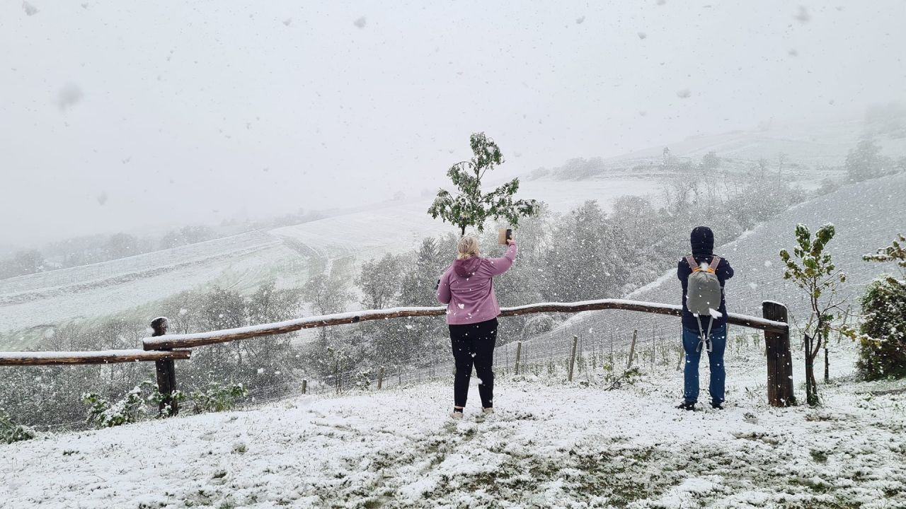 Razgled s kmetije Frešer na Ritoznoju po zasneženih vinogradih