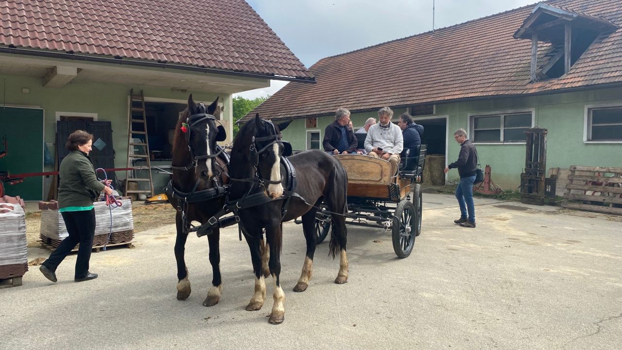 Doživetje vožnje s konjsko kočijo v družbi gospodarja Antona
