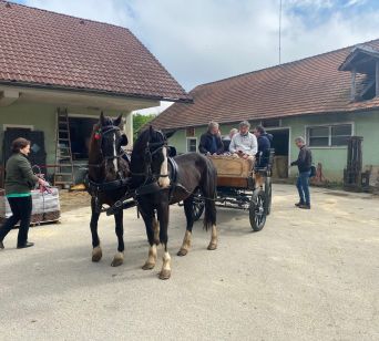 Doživetje vožnje s konjsko kočijo v družbi gospodarja Antona