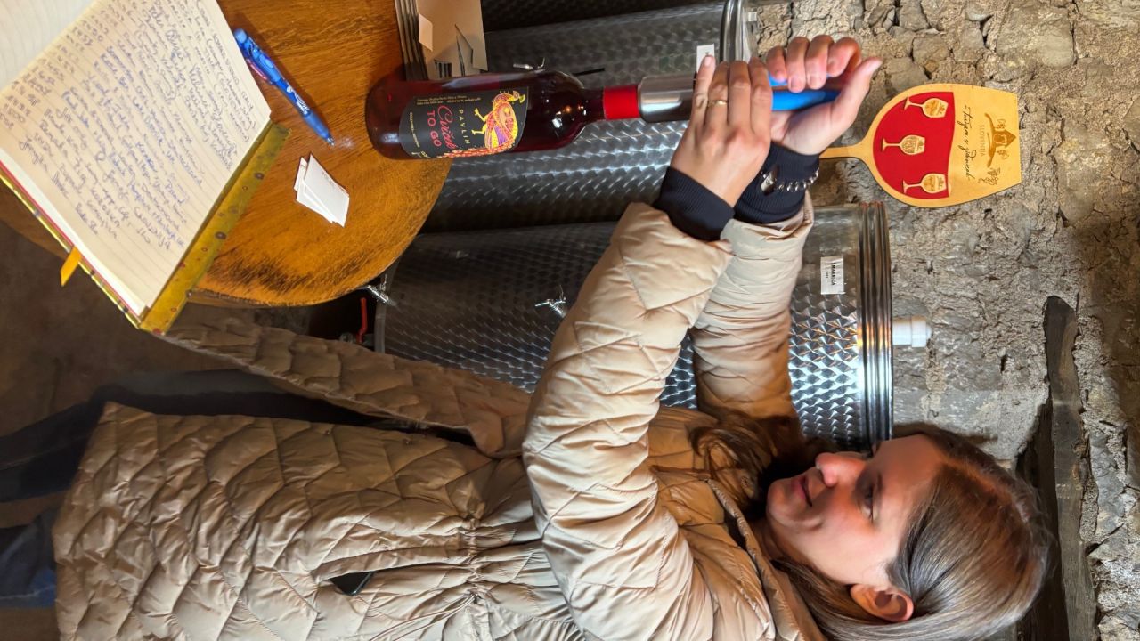 Nepozabno doživetje "Cviček to go" v družbi vinske kraljice Ane Pavlin
