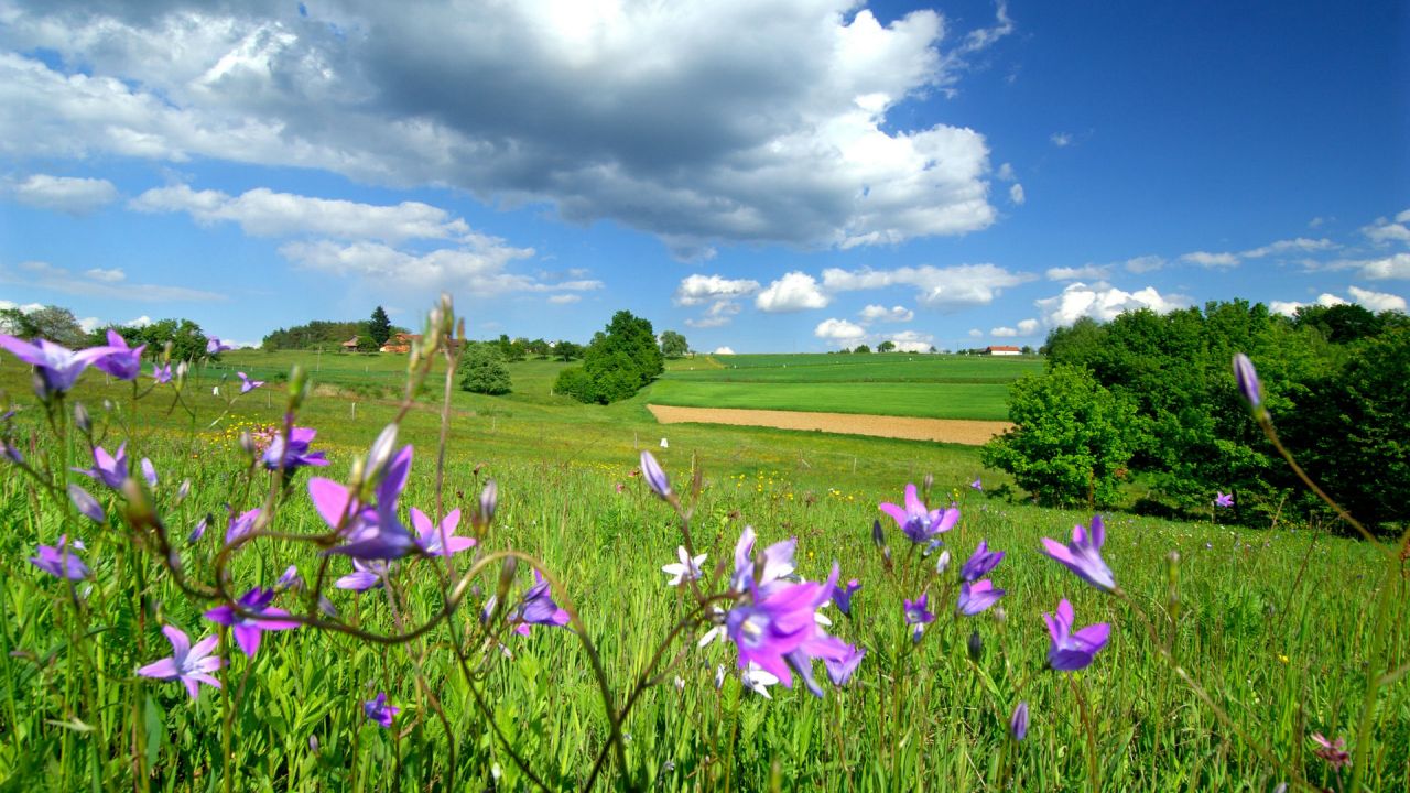 Goričko
