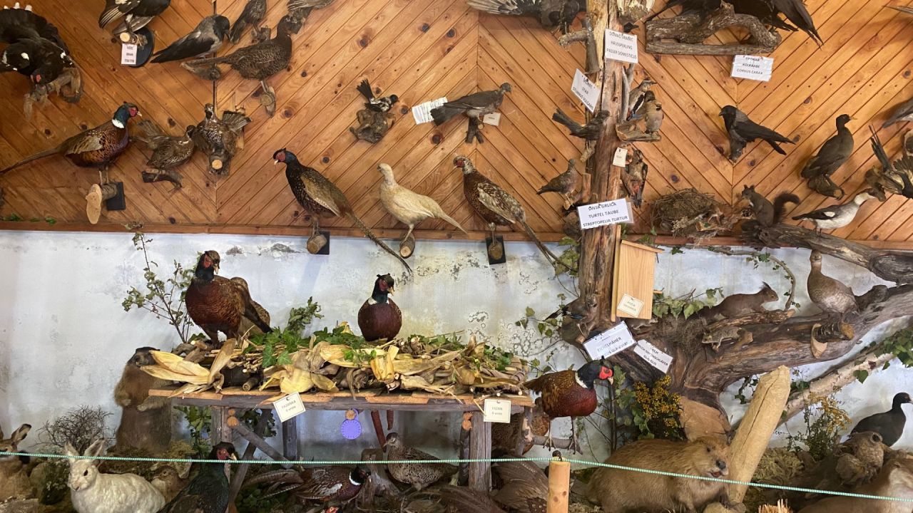 Bogata zbirka živali v biološki učilnici na kmetiji Klančnik